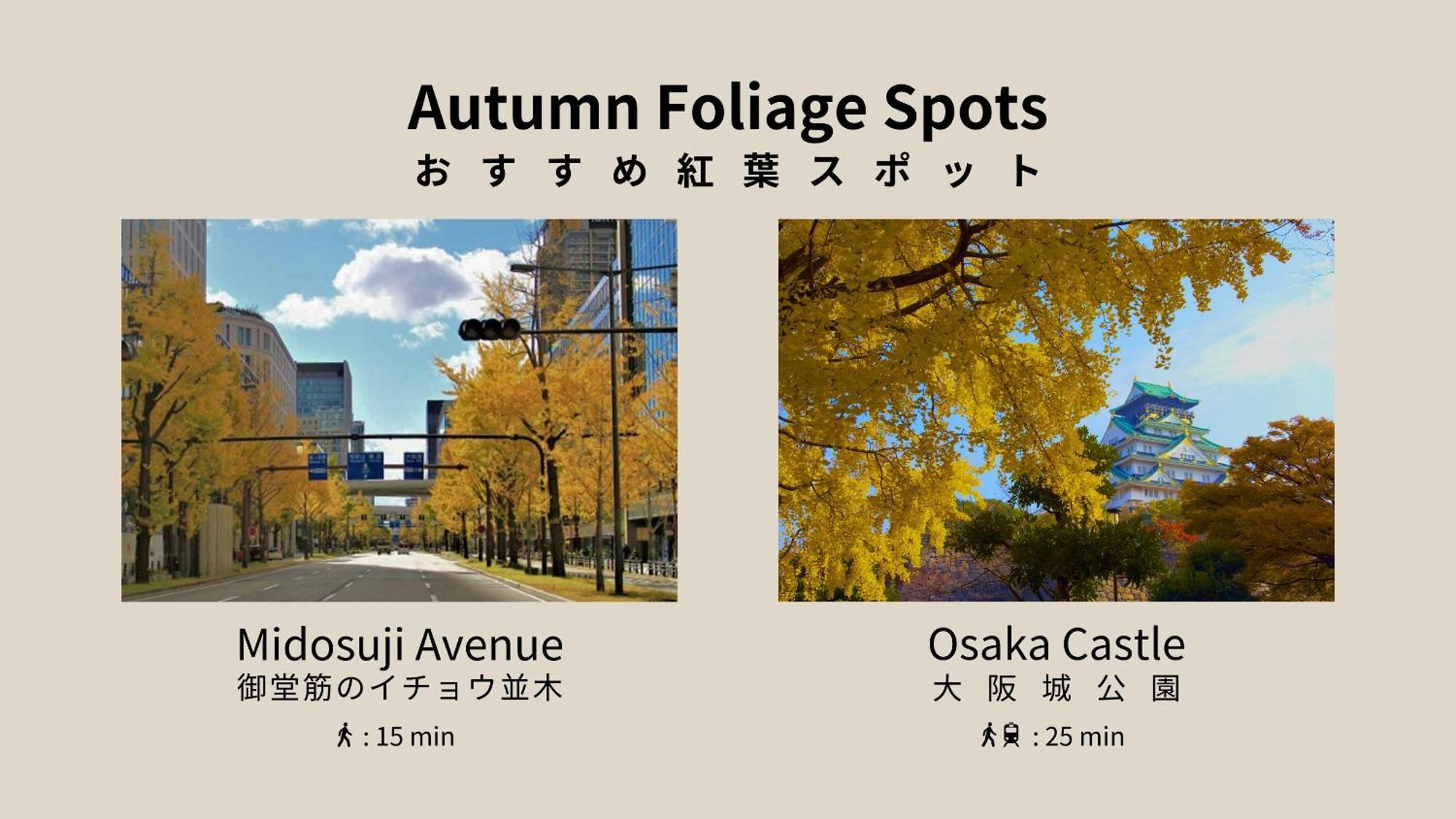 อพาร์ทเม้น Forestay Shinsaibashi